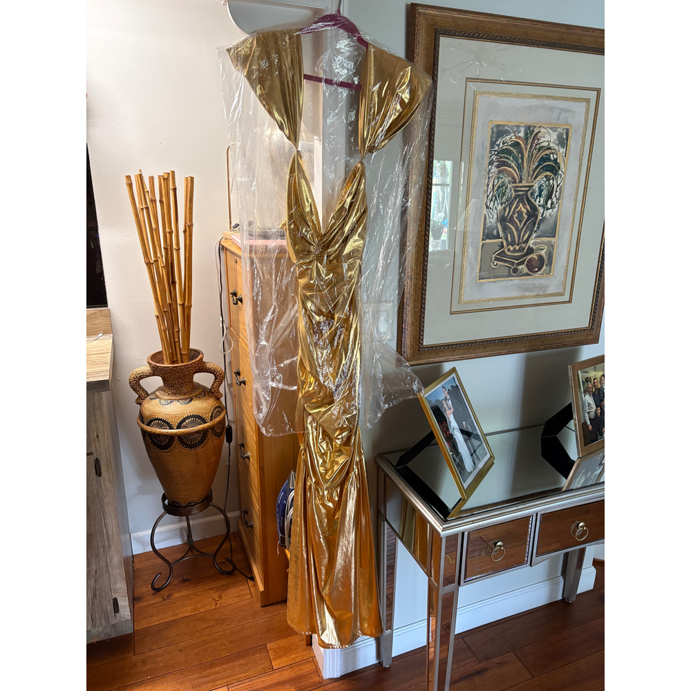 Gold Gown - Picture 1 of 4